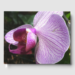 Livre D'or Orchid : Mind Edition