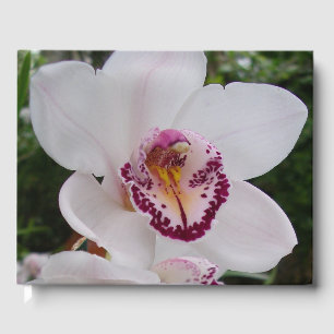 Livre D'or Orchidée Blanche I Belle Fleur Tropicale