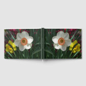 Livre D'or Pair of Daffodils Pink and Yellow Spring Flowers (Complet)
