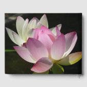 Livre D'or Paire de fleurs de Lotus II (Verso)