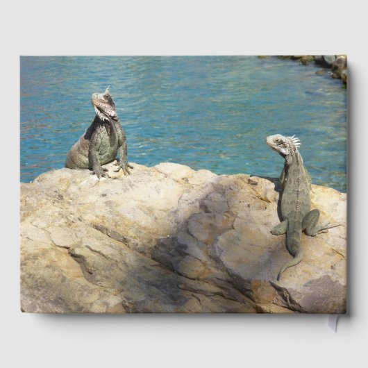 Livre D'or Paire de Iguanas Photographie de la faune tropical (Verso)