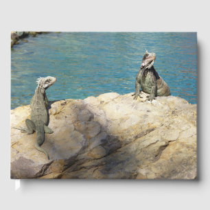 Livre D'or Paire d'Iguanes Photographie de faune tropicale