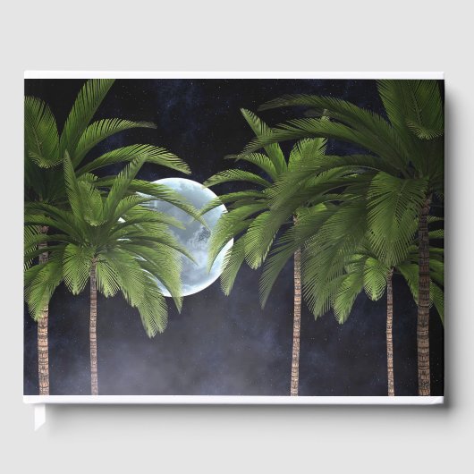 Livre D'or Palmiers contre la lune (Recto)