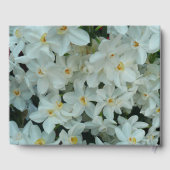 Livre D'or Paperwhite Narcissus Fleurs blanches délicates (Verso)