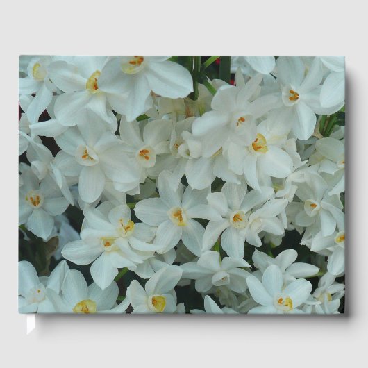 Livre D'or Paperwhite Narcissus Fleurs blanches délicates (Recto)