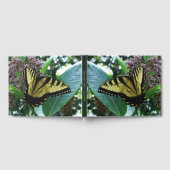 Livre D'or Papillon Swallowtail I sur Milkweed à Shenandoah (Complet)