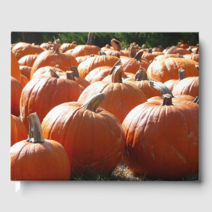 Livre D'or Photo citrouille pour automne, Halloween ou Thanks