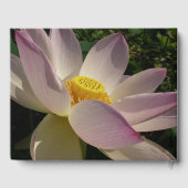 Livre D'or Pink Lotus Flower III Summer Floral (Verso)