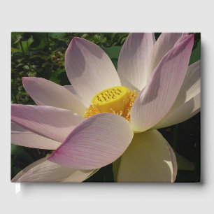 Livre D'or Pink Lotus Flower III Summer Floral