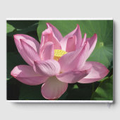 Livre D'or Pink Lotus Flower IV (Verso)