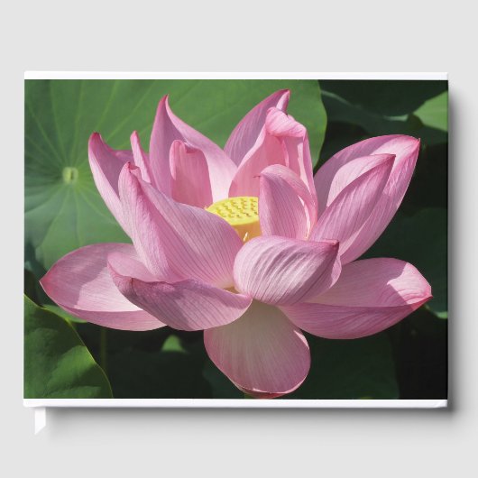 Livre D'or Pink Lotus Flower IV (Recto)