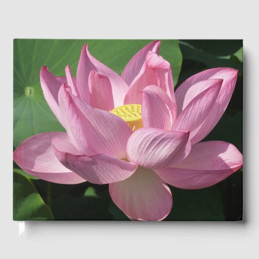Livre D'or Pink Lotus Flower IV (Recto)