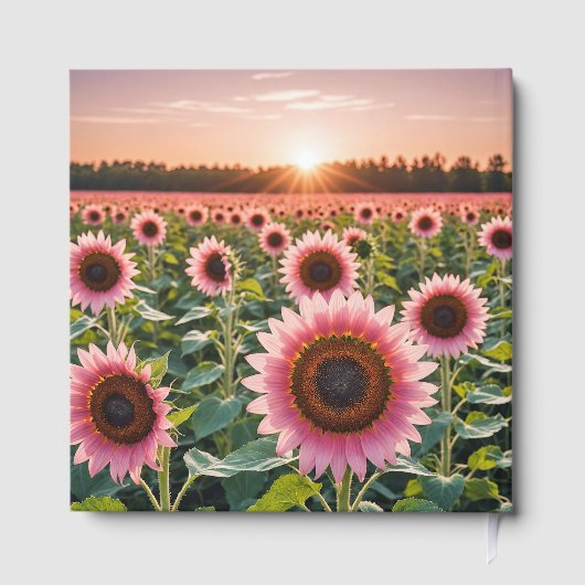 Livre D'or Pink Sunflower Field For Memorial Service (Verso)