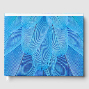 Livre D'or Plumes bleues turquoises du perroquet de Macaw