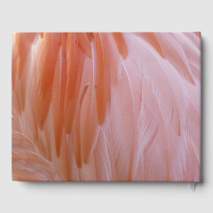 Livre D'or Plumes de Flamant rose dans les tons roses