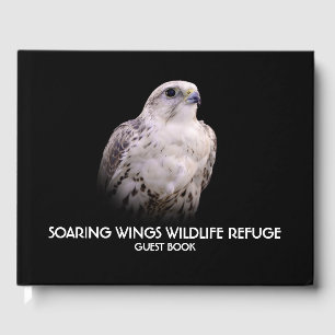 Livre D'or Portrait signé d'un faucon de Saker curieux