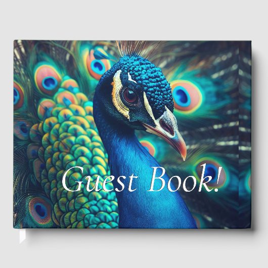 Livre D'or Profil Peacock (Recto)