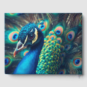 Livre D'or Profil Peacock (Verso)