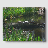 Livre D'or Rangée de tortues Green Nature Photo (Verso)
