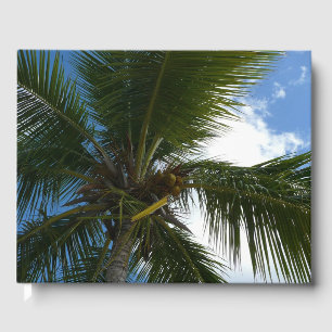 Livre D'or Regard sur le palmier à coco Nature tropicale