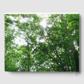 Livre D'or Regard sur les arbres d'été (Verso)