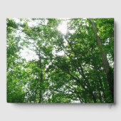 Livre D'or Regard sur les arbres d'été (Verso)