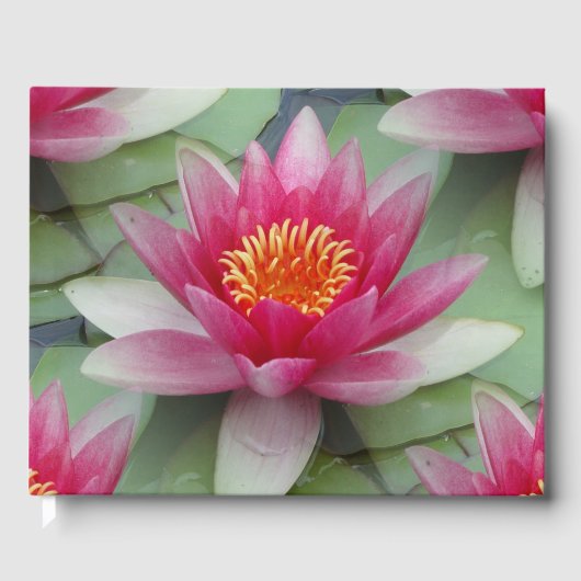 Livre D'or Rose Lotus Water Lily (Recto)