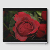 Livre D'or Rose rouge #1 (Verso)