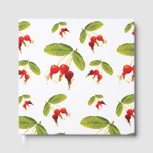 Rosehips Motif 4 Angles