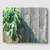 Livre D'or Sauge fraîchement coupée Bois de grange (Verso)