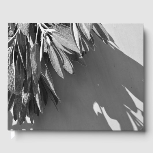 Livre D'or Sauge fraîchement coupée en nuances de gris (Recto)