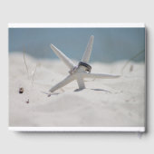 Livre D'or Scène de plage avec Starfish (Verso)