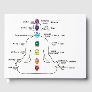 Livre D'or Sept chakras