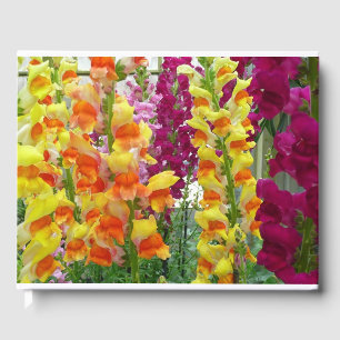Livre D'or Snapdragons colorés floraux