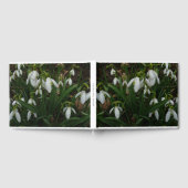 Livre D'or Snowdrops I (Complet)