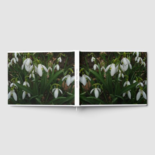 Livre D'or Snowdrops I (Complet)