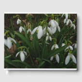 Livre D'or Snowdrops I (Recto)