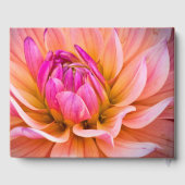 Livre D'or Style Dahlia (Verso)
