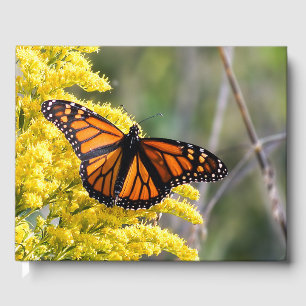 Livre d'or sur le Mariage de papillon Monarque per