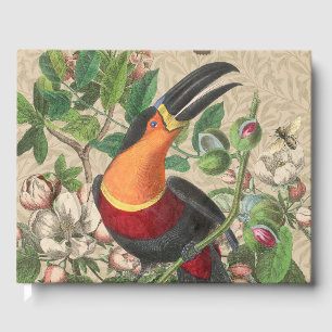 Livre D'or Toucan Jungle Tropical Bird Belle antique