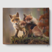 Livre D'or Triplets Foxy (Verso)