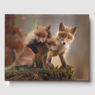 Livre D'or Triplets Foxy