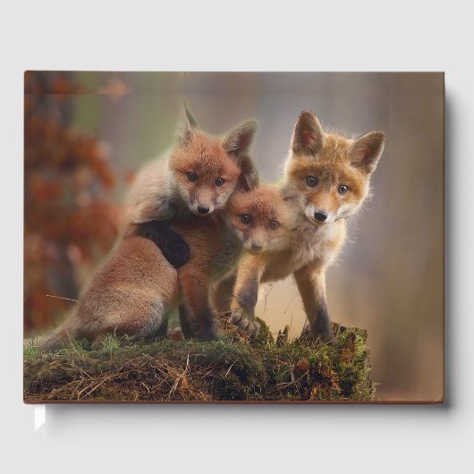 Livre D'or Triplets Foxy (Recto)