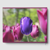 Livre D'or Tulipe pourpre simple (Verso)