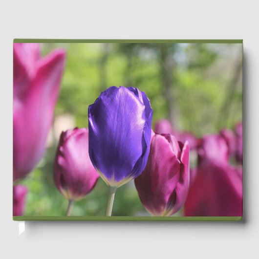 Livre D'or Tulipe pourpre simple (Recto)