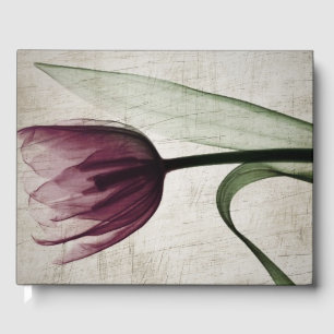 Livre D'or Tulipe vintage aux rayons X