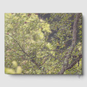 Livre D'or Un Cerf Lone Nom personnel et date (Verso)