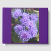 Livre D'or Viscountess, (Recto)