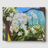 Livre d'or White Orchids (Verso)