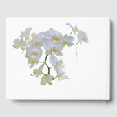 Livre d'or White Orchids (Verso)